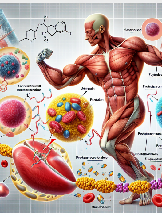 Proteinbiosynthese: Die Rolle von Stenbolon im Muskelaufbau